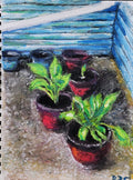 Potted plants: oil pastels drawing on paper