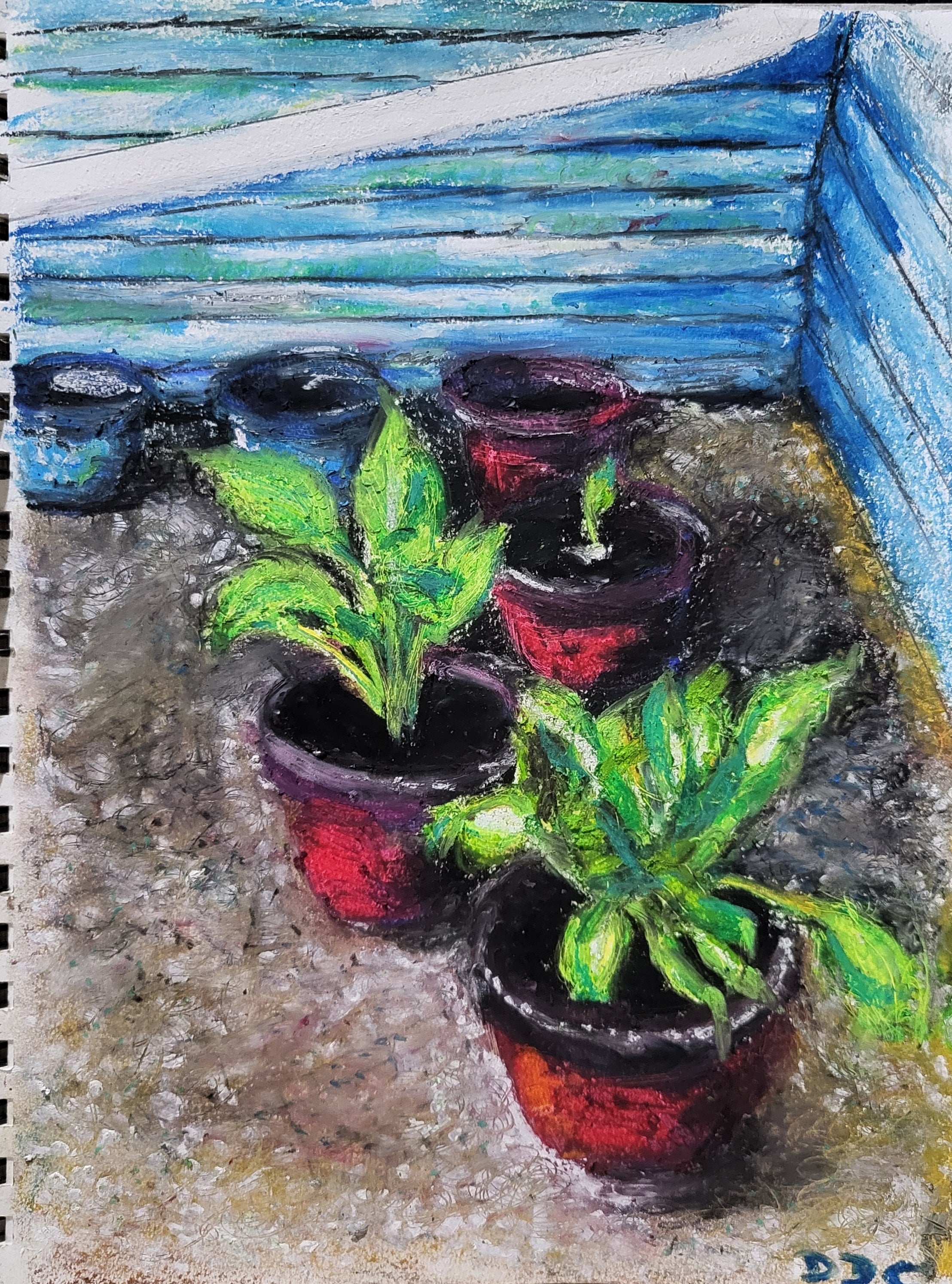 Potted plants: oil pastels drawing on paper